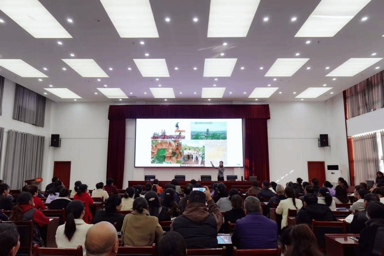 为传播中华优秀传统文化